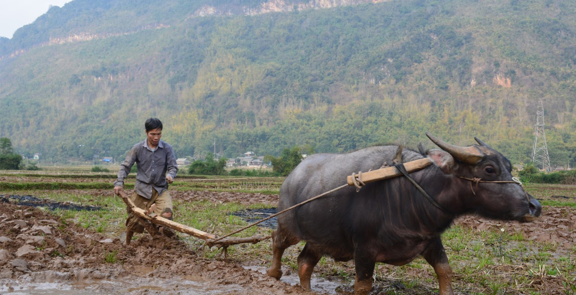 Mai Chau Day Trip From Hanoi